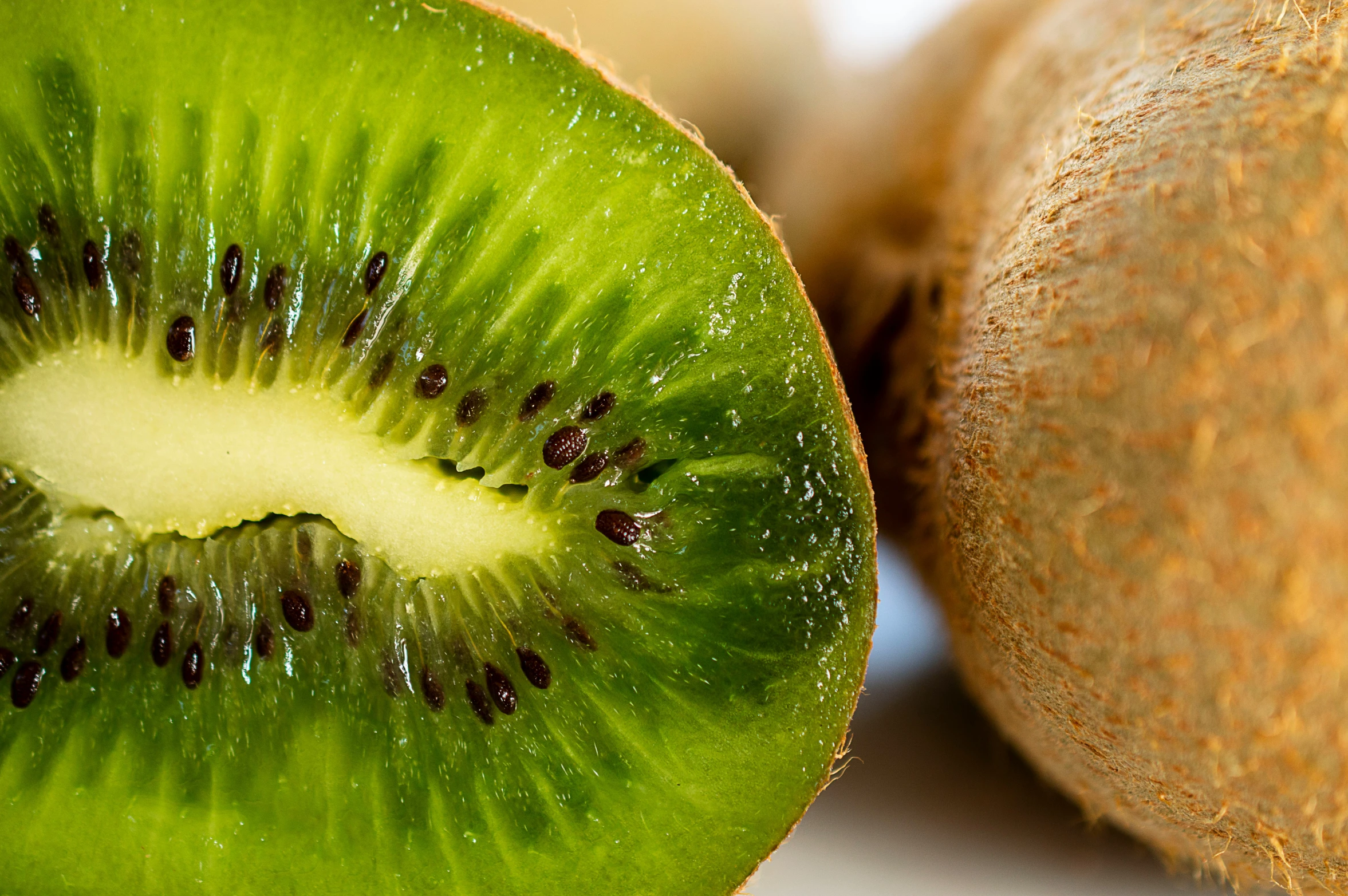 a kiwi cut in half on a white table