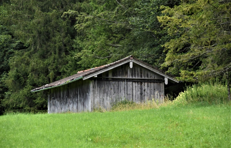 an old weathered barn stands in a forest