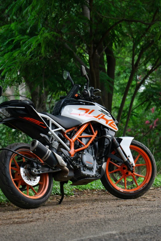 motorcycle parked on paved area next to tree