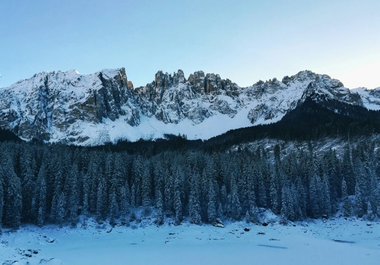 a snowy area that has some pine trees covered with snow