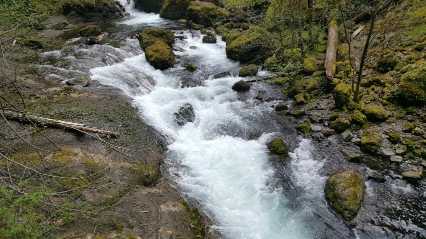 a small waterfall cascades into a large green area