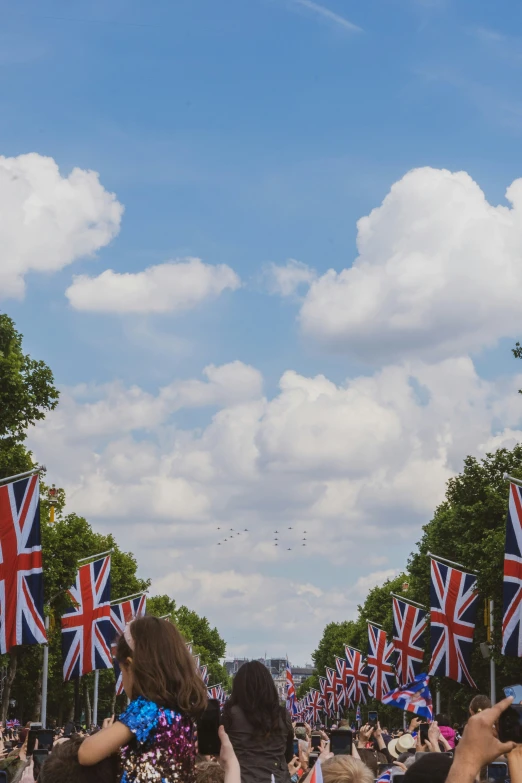 a bunch of people holding flags in the air