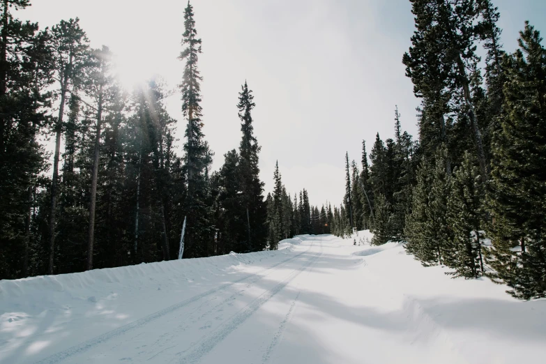 a snow covered path in the woods with a person on snow skis