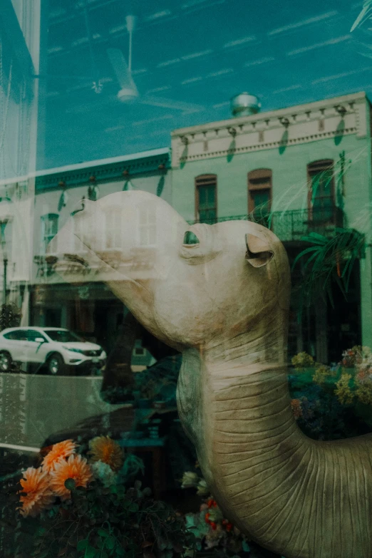 an elephant statue in front of the window of a store