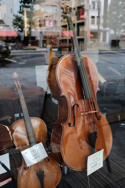 a violin and cello displayed on a table in a window