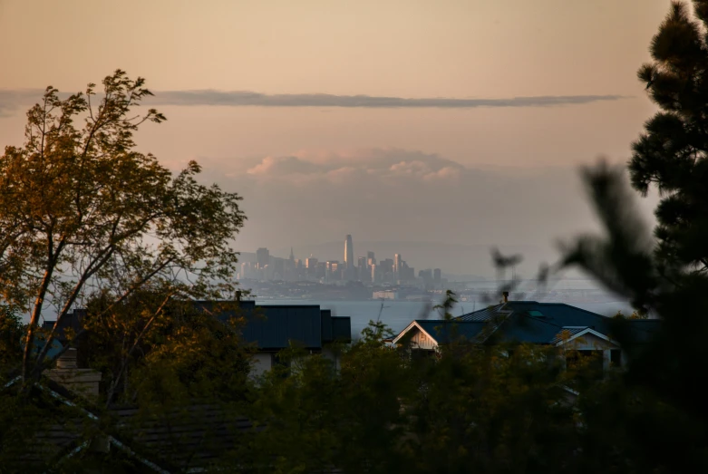 the view of a city seen through some trees