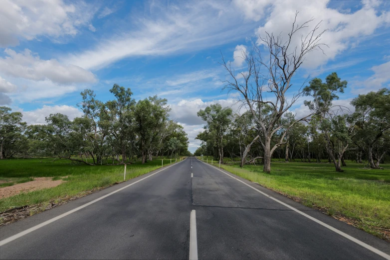 empty road with trees and grass on either side