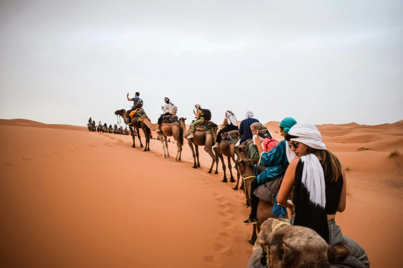 people ride camels through the desert and walk with each other