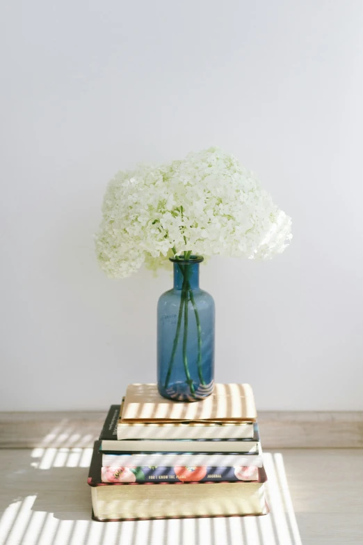 there are many books stacked up on the same book and vase