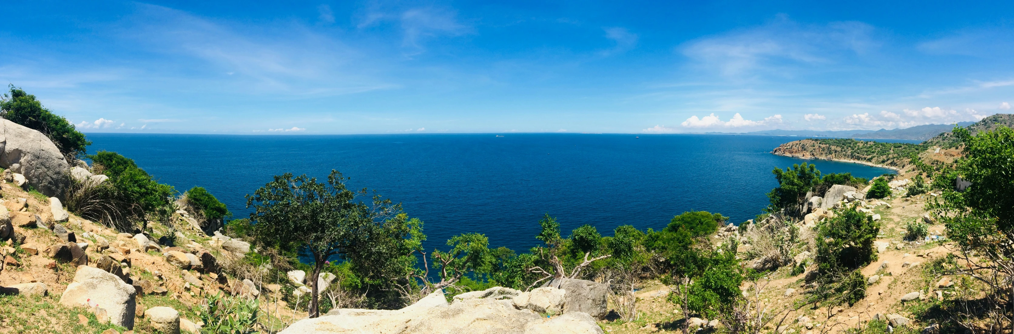 the view of the water near some trees