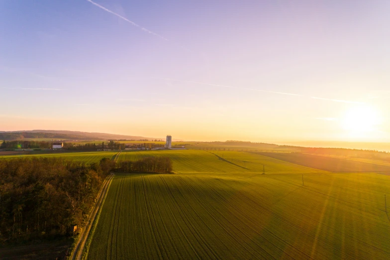 a wide open field with a tree in the background