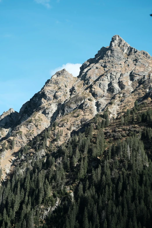 a view of a mountain with trees, in the foreground and sky