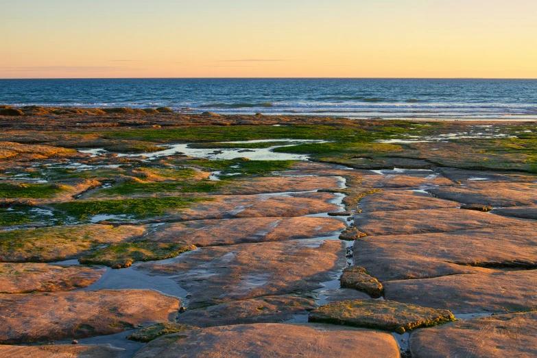 the view of a beach at sunset with green algae