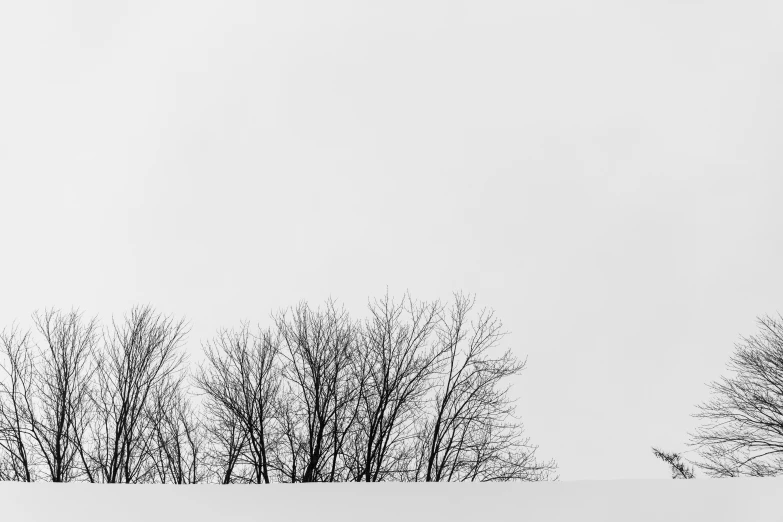 a snow covered landscape with trees in the distance