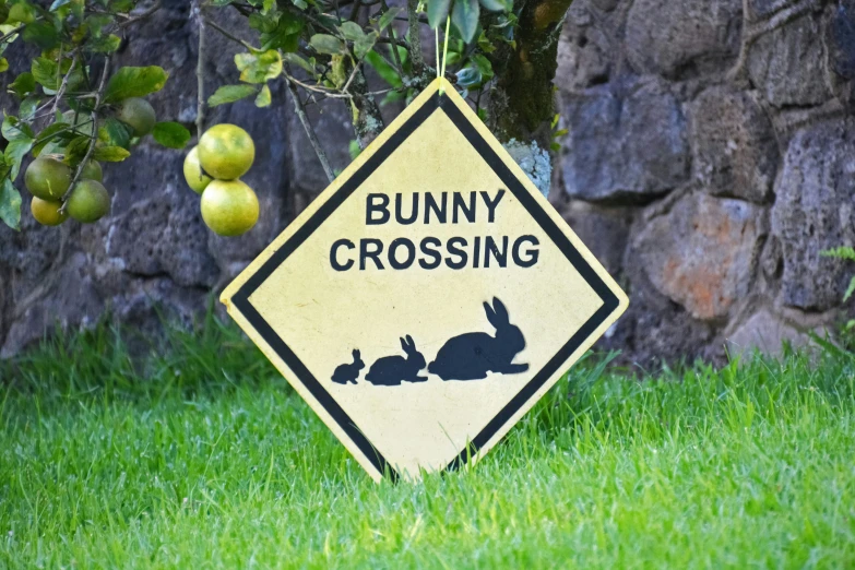 there is a sign saying bunny crossing and an image of two rabbits