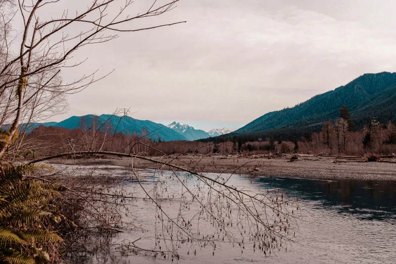 a scenic landscape of water, trees, and mountains