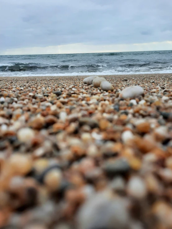 stones and gravel are on the beach and some water is in the distance