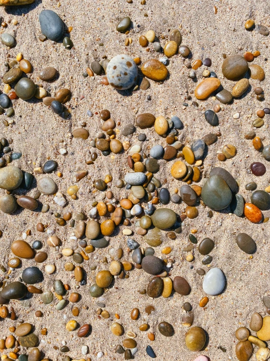 a bunch of rocks on the sand on a beach