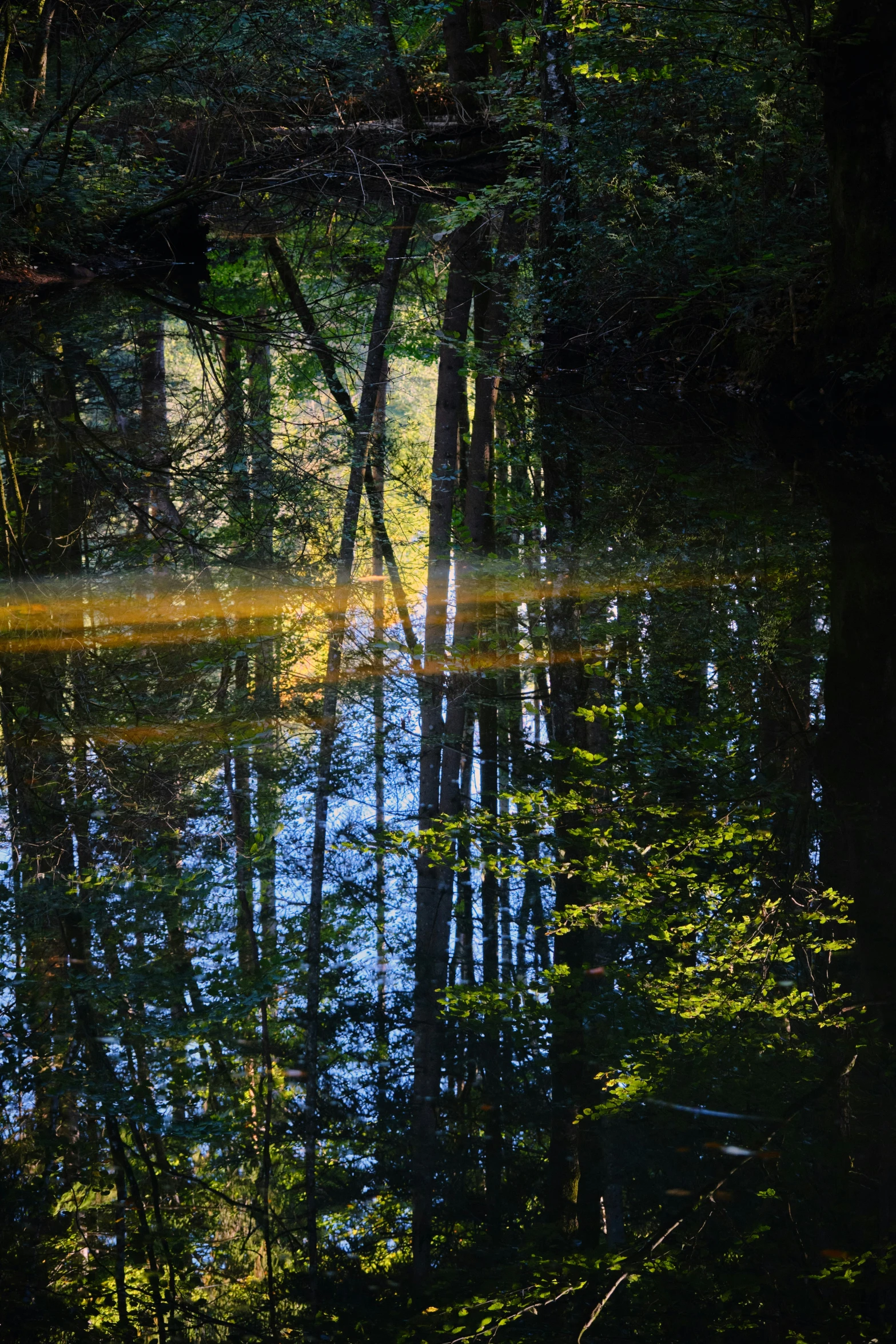 a river surrounded by green trees and water