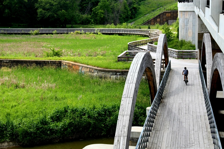 people on a walkway next to a green grassy field