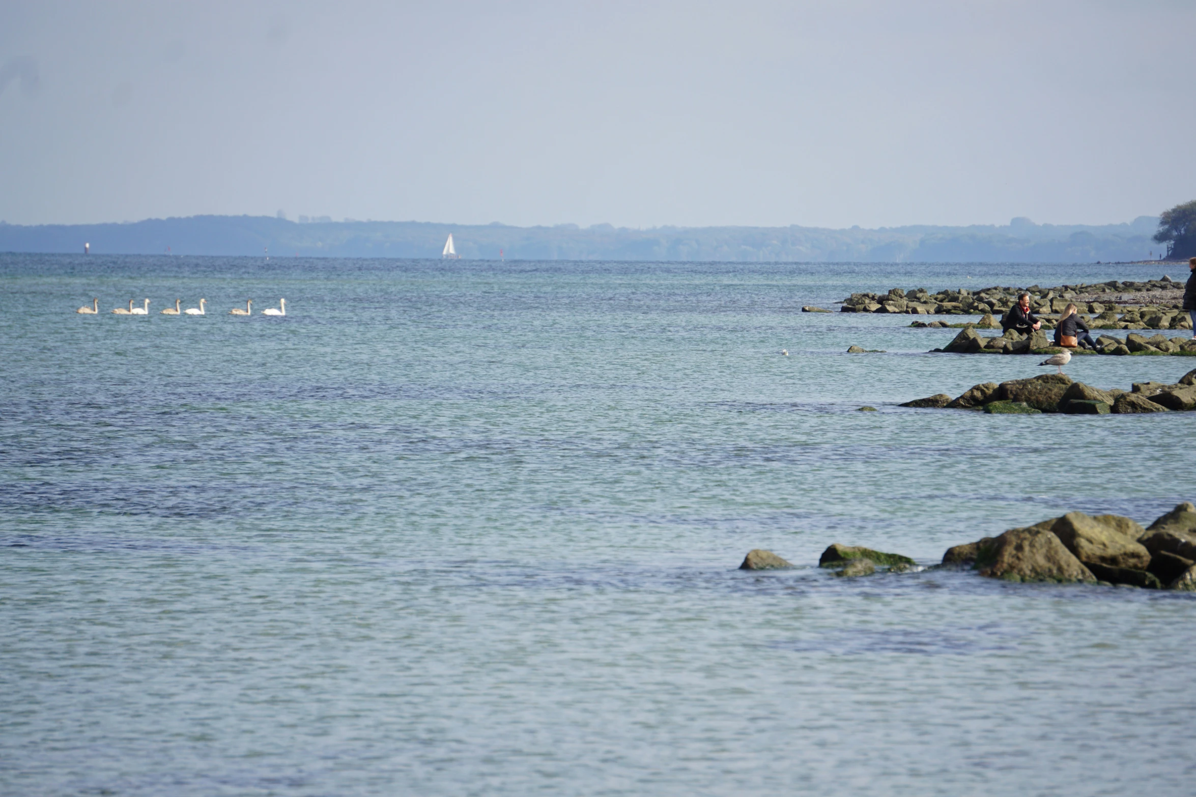 a body of water with small white boats in the distance