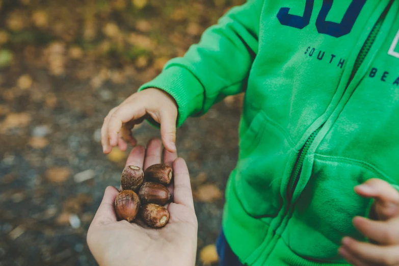 a  is holding up a handful of chestnuts