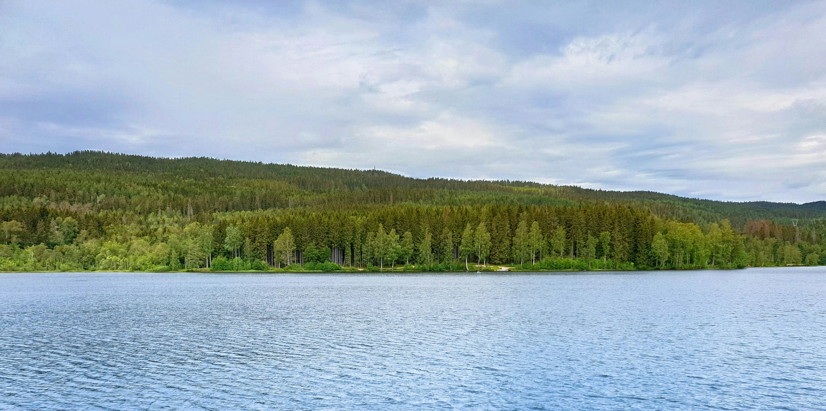 a boat out on the water near some trees