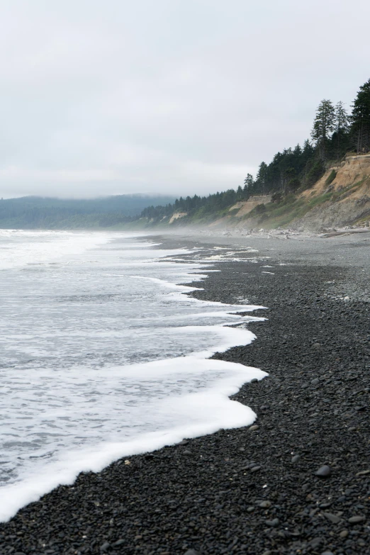 a couple of people walking across a rocky beach