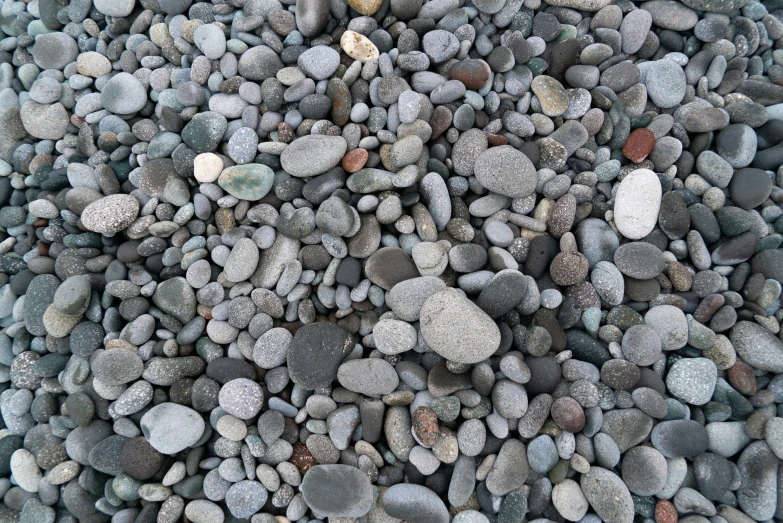 a bunch of small rocks are gathered around