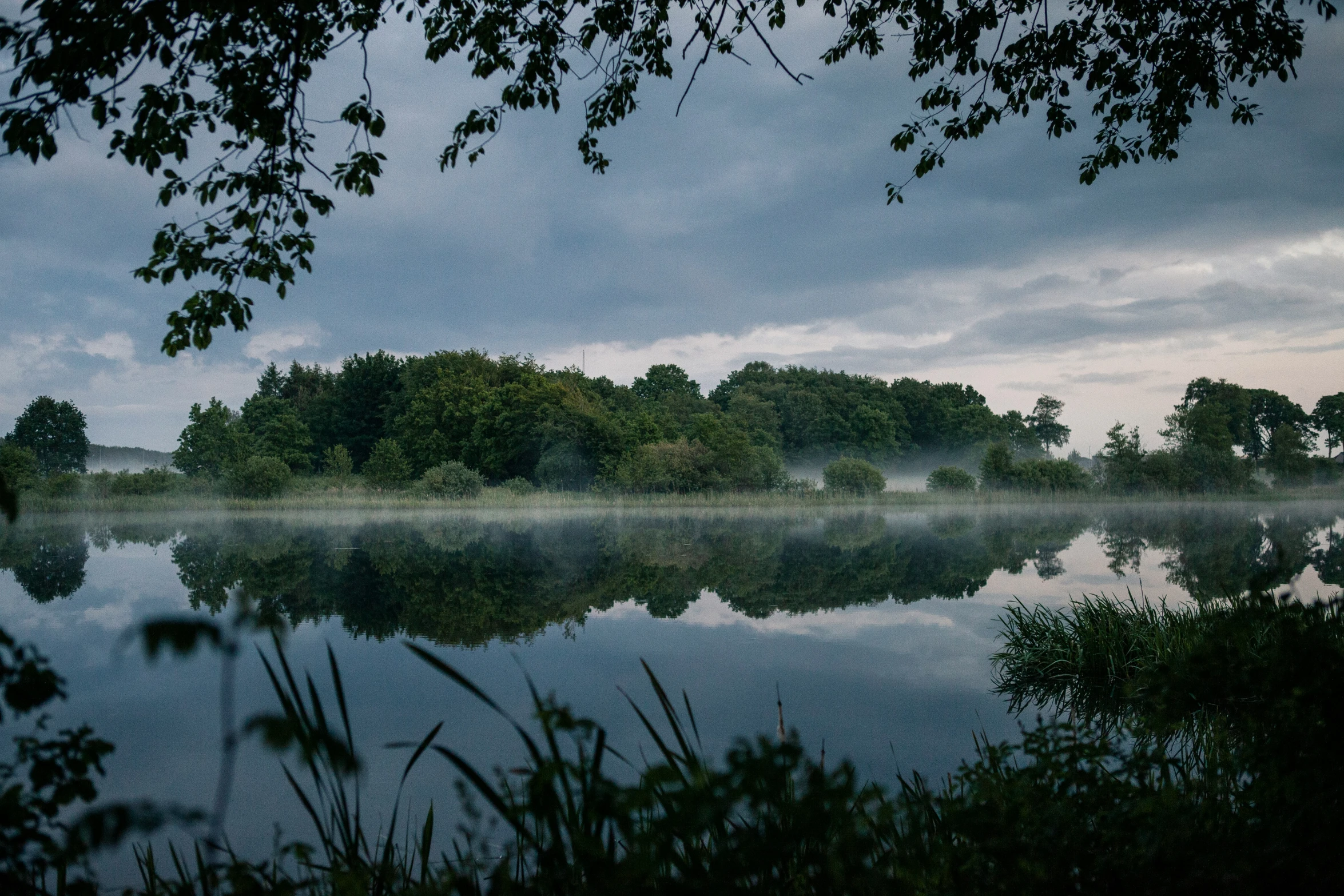 a body of water next to forest under a cloudy sky