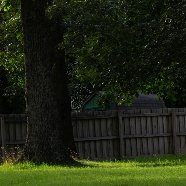 there is a park bench in front of a tree