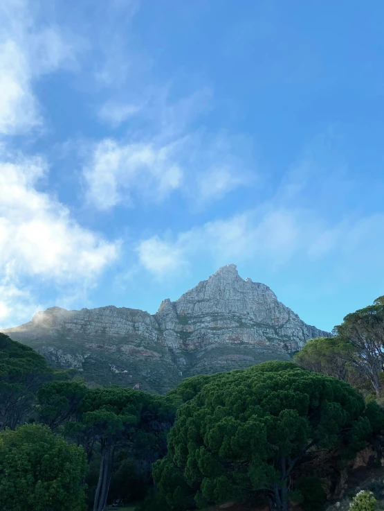 a mountain view with the top of trees and blue sky