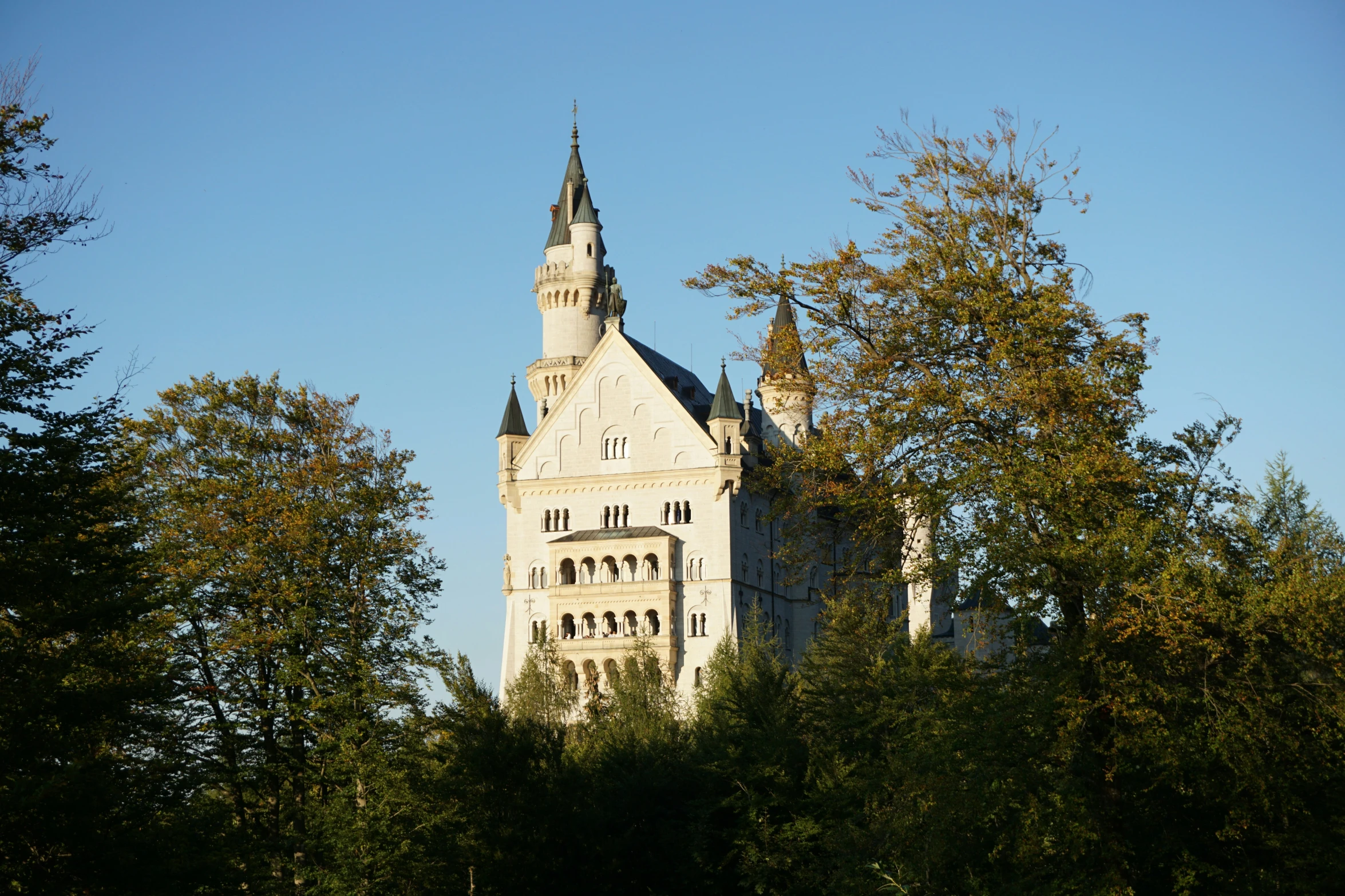 the tall castle has a tower that is next to trees