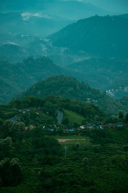 the foggy, cloudgy area is very lush