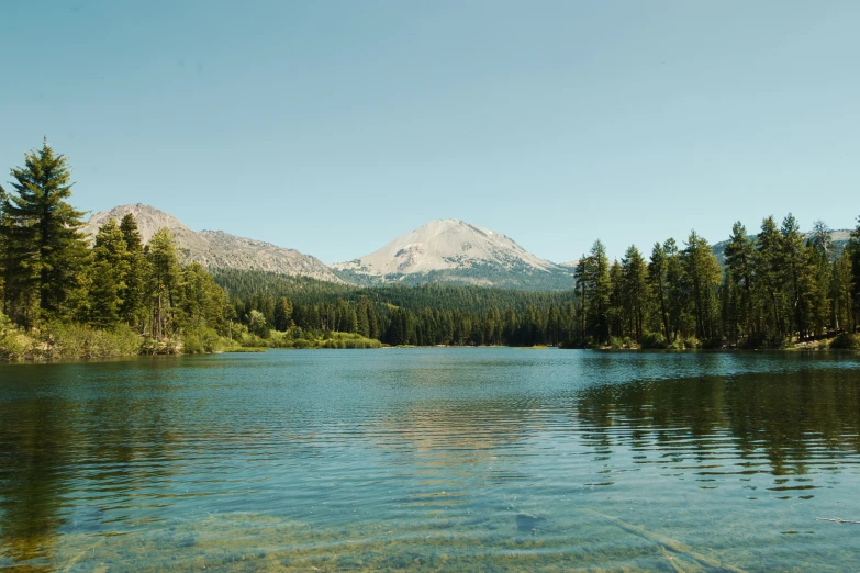 a body of water with trees on each side