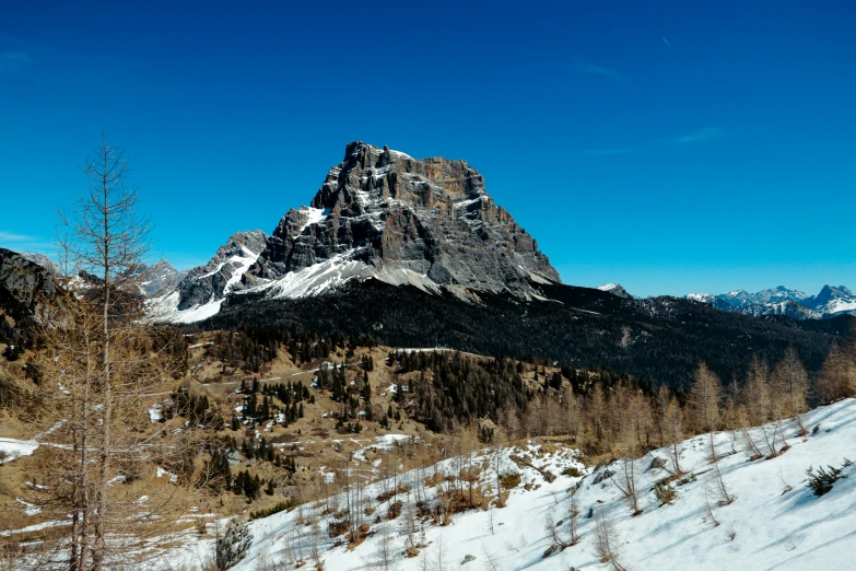 a snowy mountain range with some trees in the foreground