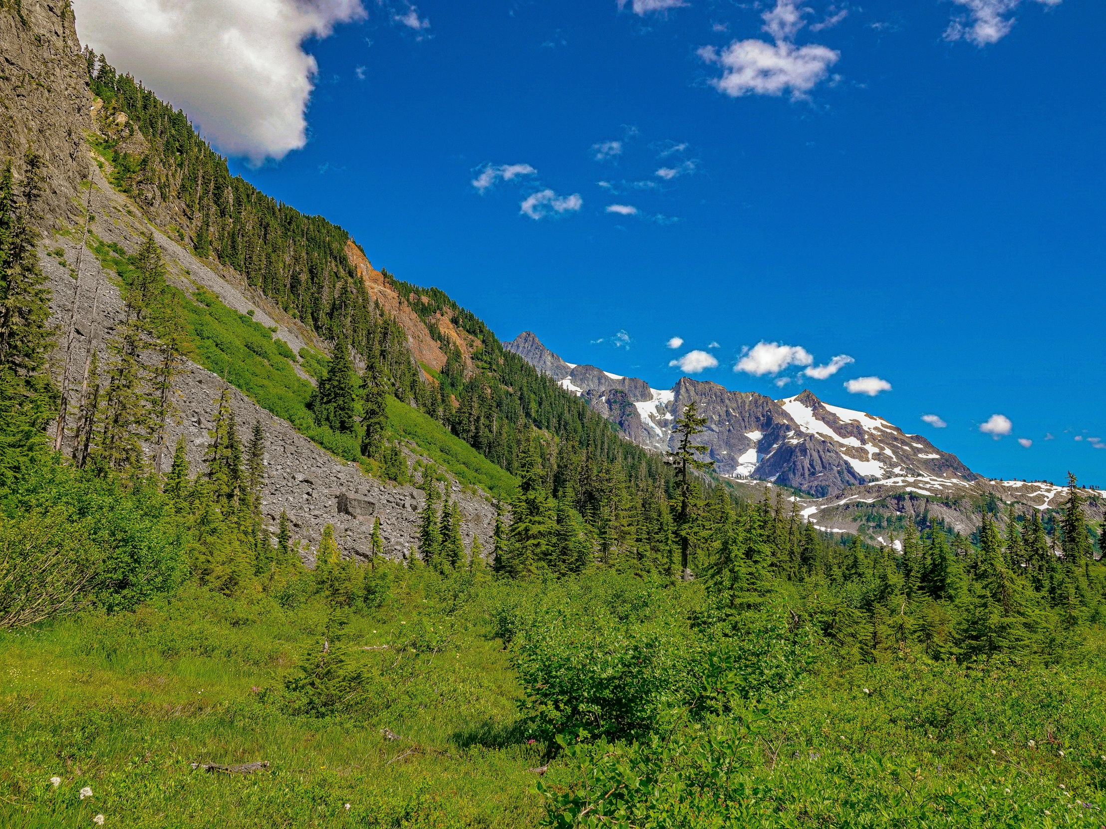 a mountain range with grass and flowers next to the mountains