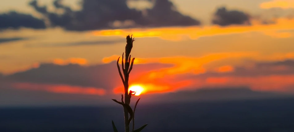 a sunset or sunset is shown in the clouds over a tree