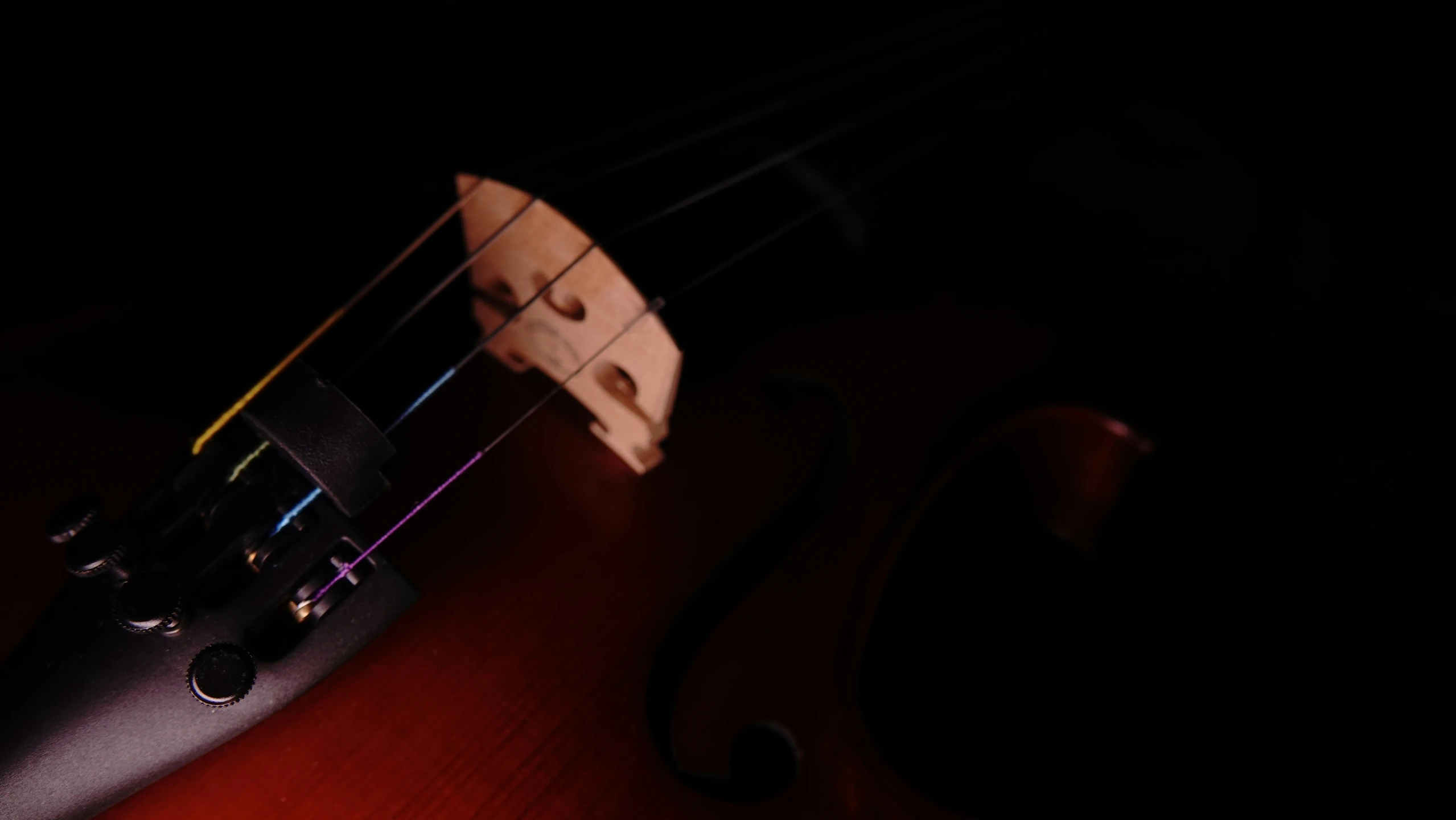 the back of an upright violin against a dark background