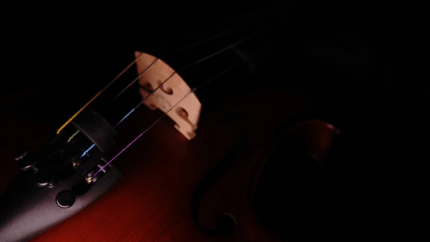 the back of an upright violin against a dark background