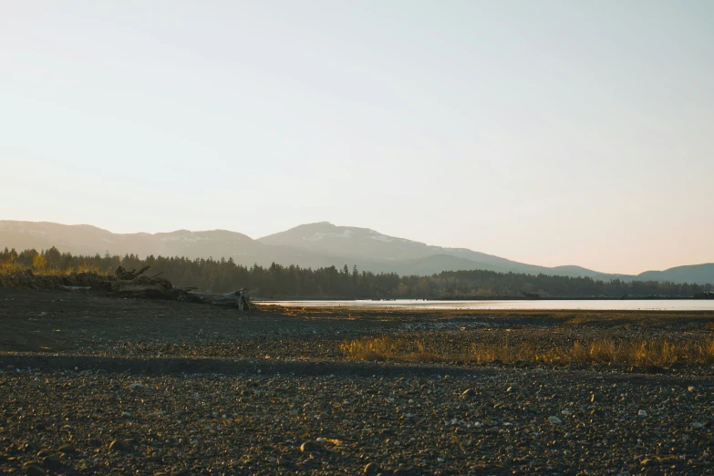 a body of water surrounded by forest with mountains in the background