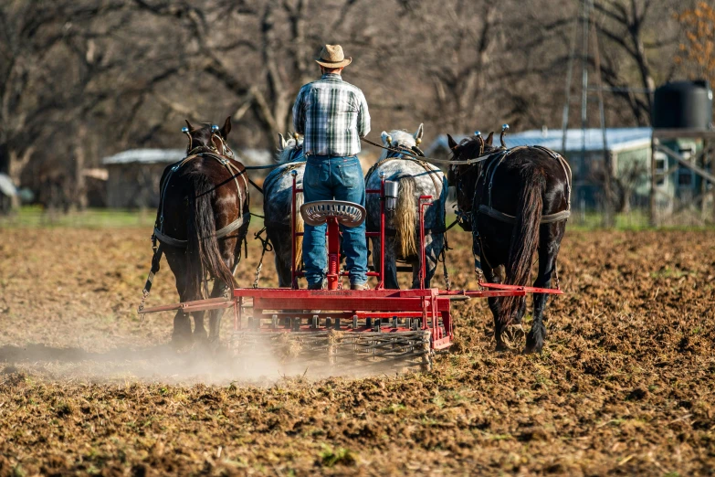 a man driving two horses pulling a trailer through a field