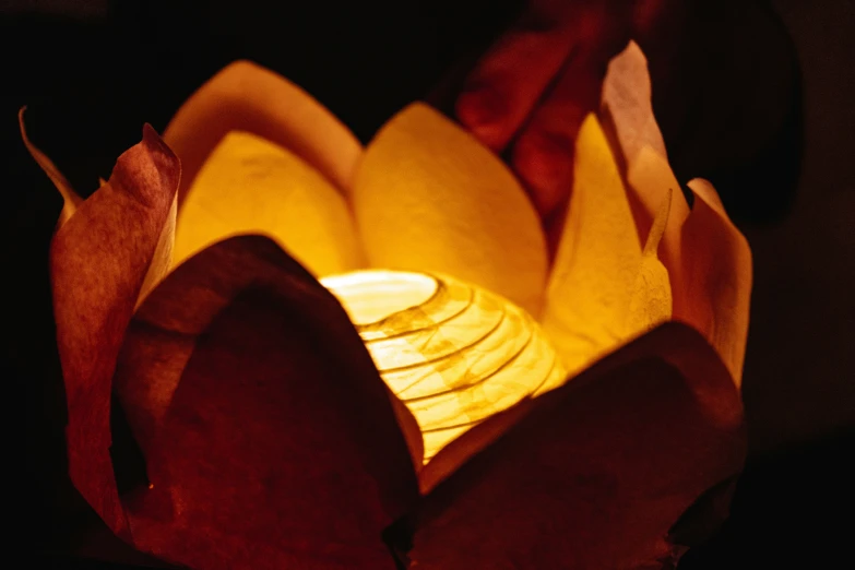 a lighted up lit - up lotus flower in the dark