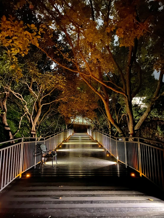 many benches line the street at night