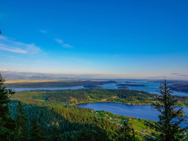 view of a forest, lake and mountain from a mountain top