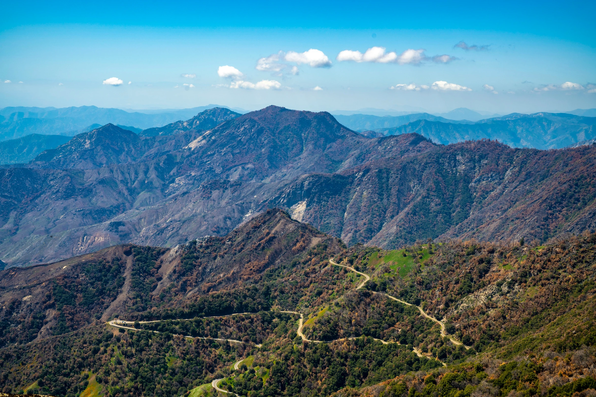 some trees and mountains near each other