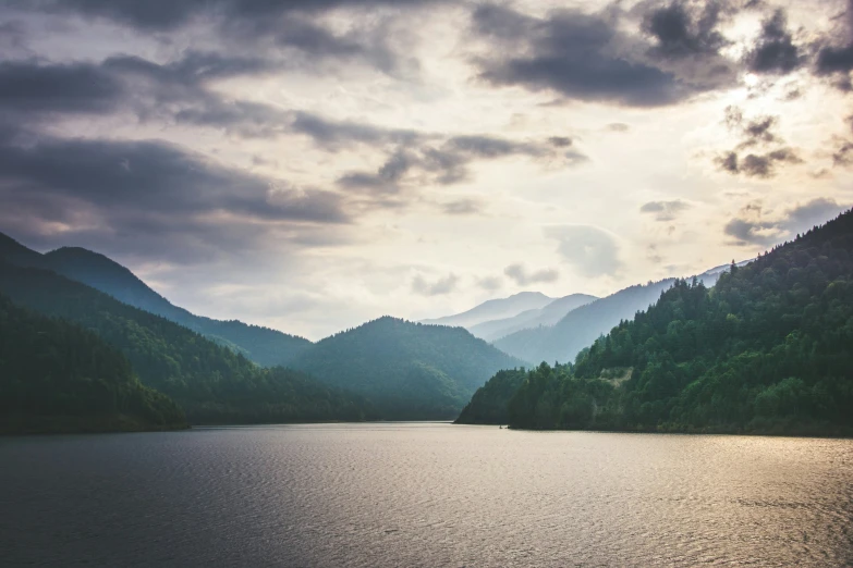 water with many small trees and mountain side