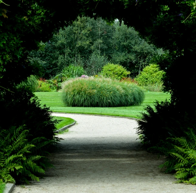 an open walkway leading to the grass and flowers