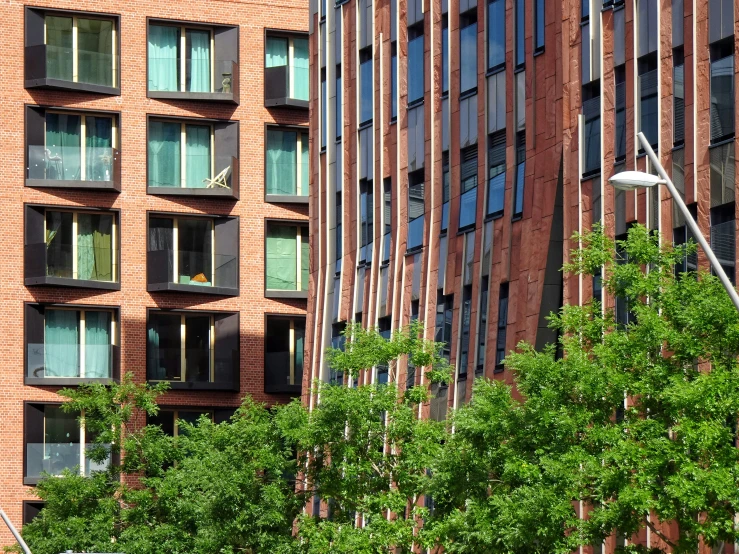 green trees in front of large brick apartment buildings