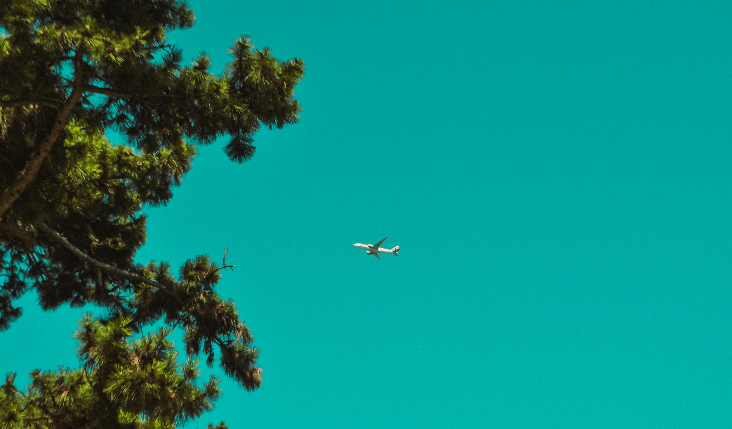 an airplane flying above trees on a sunny day